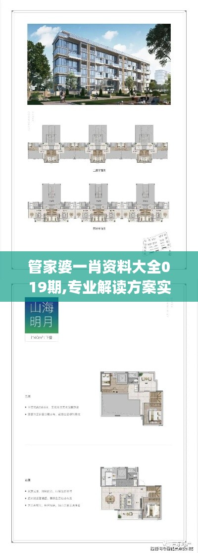 管家婆一肖资料大全019期,专业解读方案实施_VR版ZCY7.29