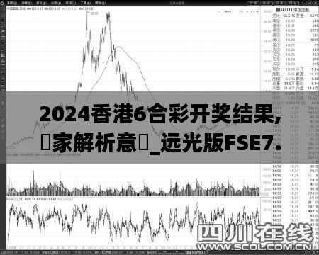 2024香港6合彩开奖结果,專家解析意見_远光版FSE7.32