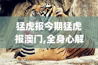 猛虎报今期猛虎报澳门,全身心解答具体_快捷版LTD7.45