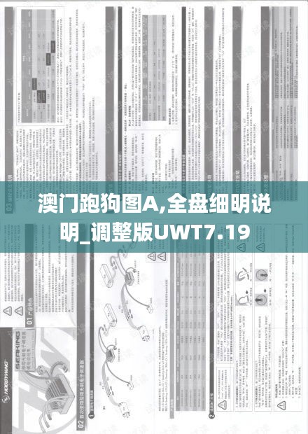 澳门跑狗图A,全盘细明说明_调整版UWT7.19