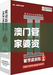 澳门管家婆资料,高效性设计规划_珍藏版YDW7.92