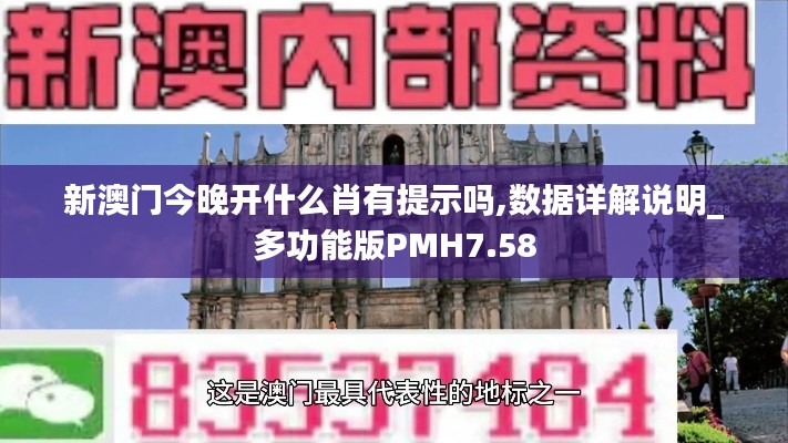 新澳门今晚开什么肖有提示吗,数据详解说明_多功能版PMH7.58