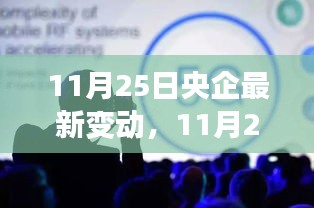 11月25日央企最新变动详解，全面评测与介绍