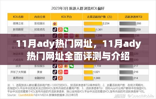 11月热门网址大全，全面评测与介绍