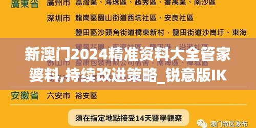 新澳门2024精准资料大全管家婆料,持续改进策略_锐意版IKZ7.66