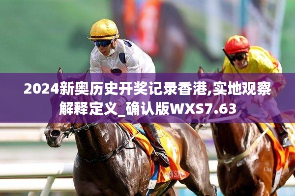 2024新奥历史开奖记录香港,实地观察解释定义_确认版WXS7.63