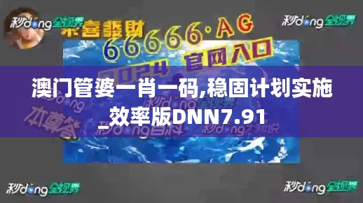 澳门管婆一肖一码,稳固计划实施_效率版DNN7.91