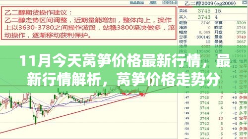 11月莴笋价格最新行情解析及走势分析——今日行情报告（11月版）