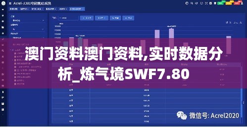 澳门资料澳门资料,实时数据分析_炼气境SWF7.80