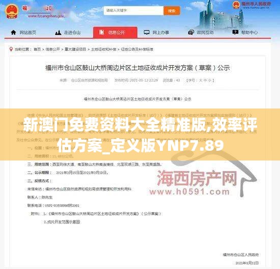 新澳门免费资料大全精准版,效率评估方案_定义版YNP7.89