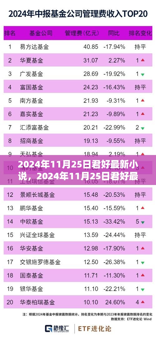 2024年11月25日君好最新小说发布，探索文学新境界