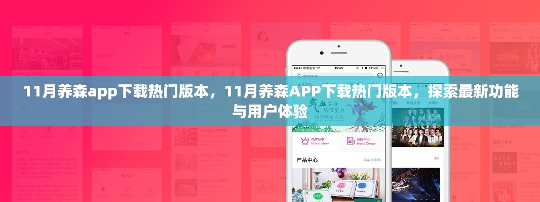 11月养森APP热门版本下载，探索新功能与极致用户体验