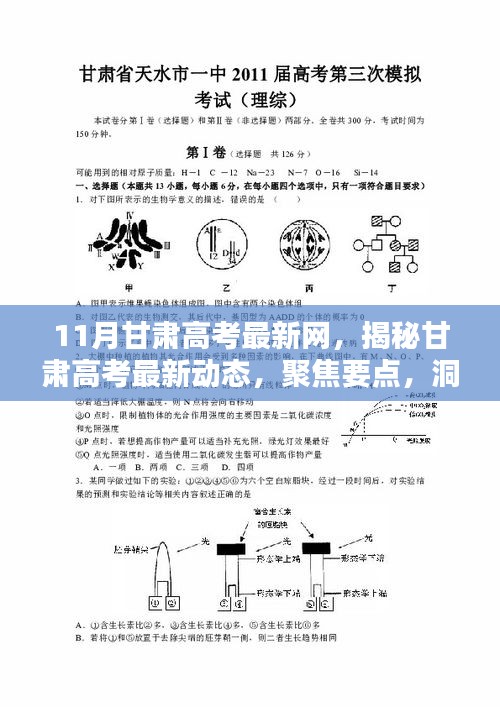 聚焦甘肃高考最新动态，揭秘要点、洞悉趋势