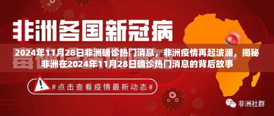 揭秘非洲疫情再起波澜，2024年11月28日非洲确诊热门消息的背后故事