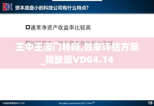 王中王澳门特吗,效率评估方案_稀缺版VDG4.14