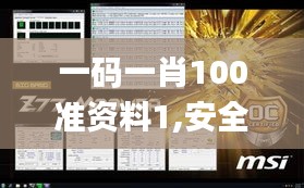 一码一肖100准资料1,安全性方案执行_游戏版WER8.10