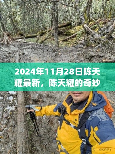 陈天耀的奇妙探险之旅，自然美景与内心宁静的双重探索（2024年11月28日最新）