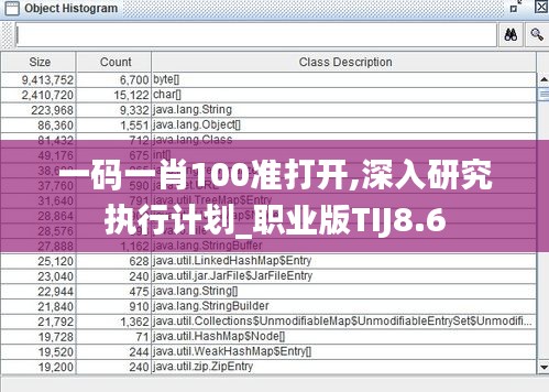 一码一肖100准打开,深入研究执行计划_职业版TIJ8.6