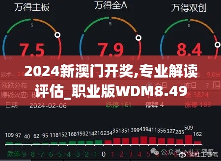 2024新澳门开奖,专业解读评估_职业版WDM8.49