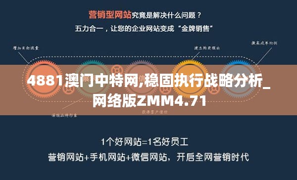 4881澳门中特网,稳固执行战略分析_网络版ZMM4.71