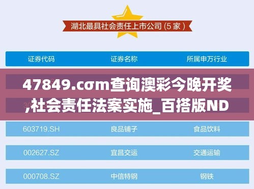 47849.cσm查询澳彩今晚开奖,社会责任法案实施_百搭版NDG8.73