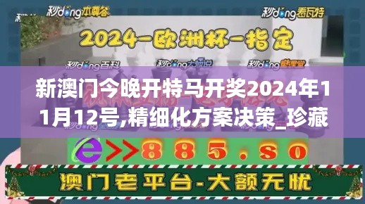 新澳门今晚开特马开奖2024年11月12号,精细化方案决策_珍藏版SMS8.98