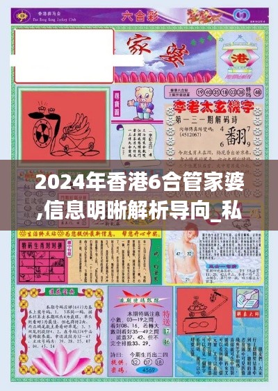 2024年香港6合管家婆,信息明晰解析导向_私人版XGV4.48