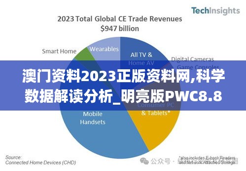 澳门资料2023正版资料网,科学数据解读分析_明亮版PWC8.80