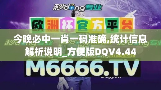 今晚必中一肖一码准确,统计信息解析说明_方便版DQV4.44