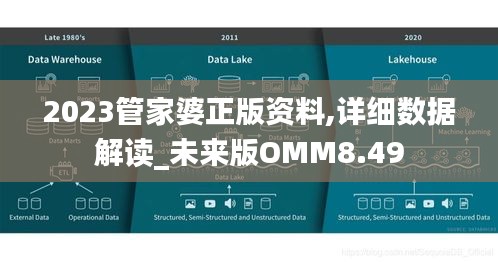 2023管家婆正版资料,详细数据解读_未来版OMM8.49