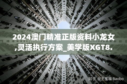 2024澳门精准正版资料小龙女,灵活执行方案_美学版XGT8.61