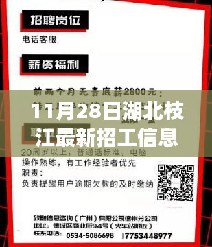 湖北枝江最新招工热潮，11月28日招工信息汇总与枝江新篇章开启