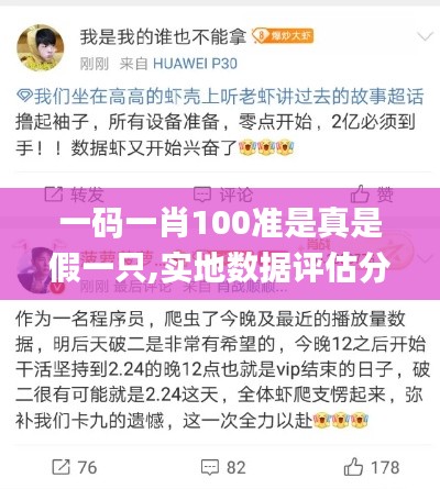 一码一肖100准是真是假一只,实地数据评估分析_长生境EAO8.15