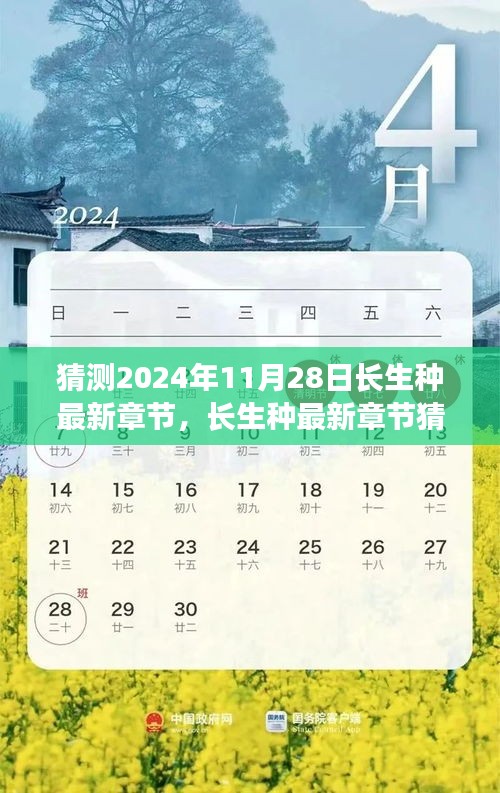 长生种最新章节猜想与深度测评，预测与解读2024年11月28日长生种新动向