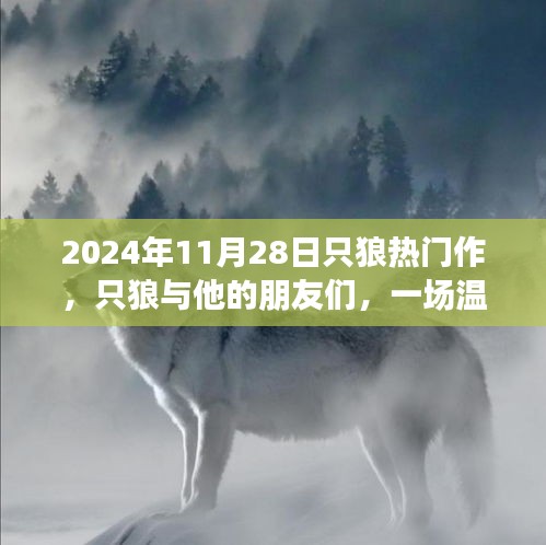 只狼与他的朋友们，一场温馨的冒险之旅（2024年11月28日）