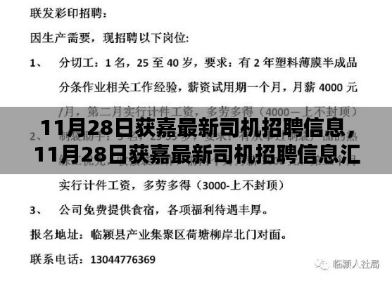 11月28日获嘉司机招聘信息大全，掌握未来职业机遇的钥匙