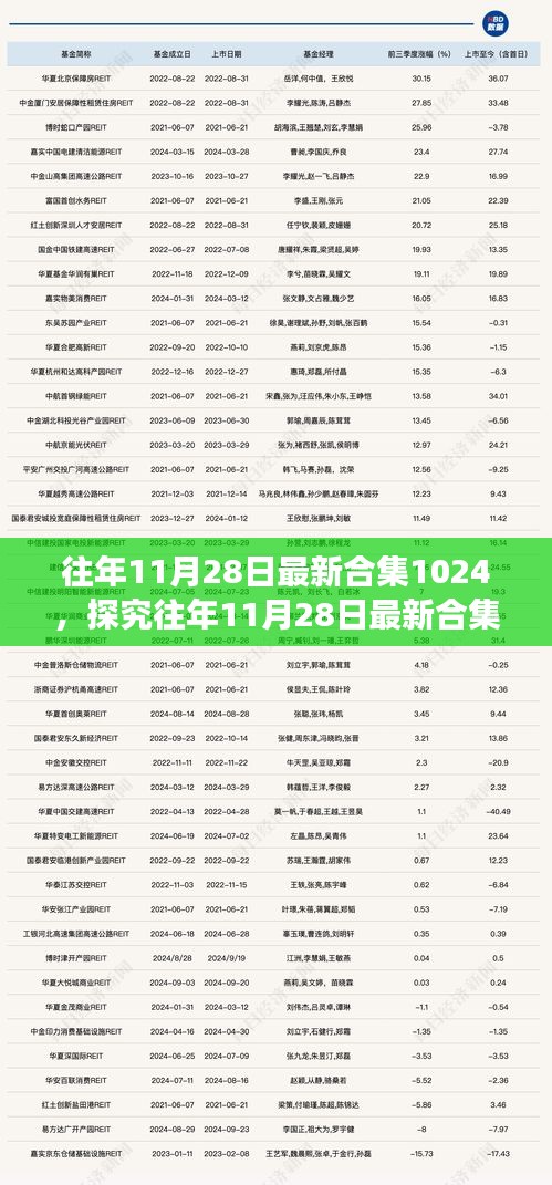 多元视角下的审视与反思，往年11月28日最新合集1024探究与解析