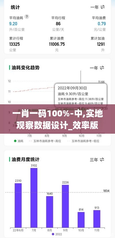 一肖一码100%-中,实地观察数据设计_效率版MJY45.875