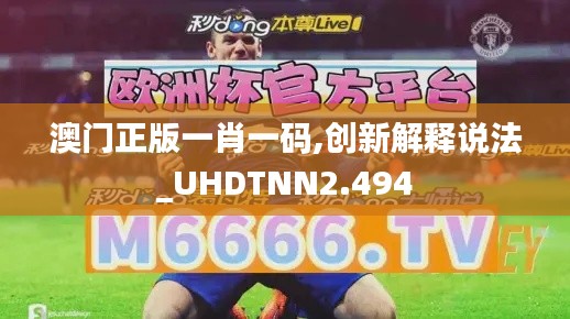 澳门正版一肖一码,创新解释说法_UHDTNN2.494