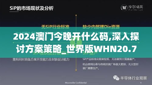 2024澳门今晚开什么码,深入探讨方案策略_世界版WHN20.799