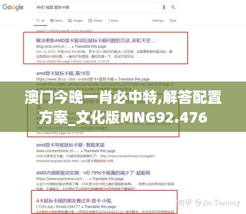 澳门今晚一肖必中特,解答配置方案_文化版MNG92.476