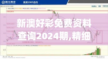 新澳好彩免费资料查询2024期,精细化方案决策_闪电版GTL58.156