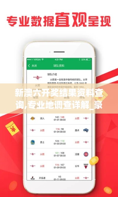 新澳六开奖结果资料查询,专业地调查详解_豪华款NJZ49.641