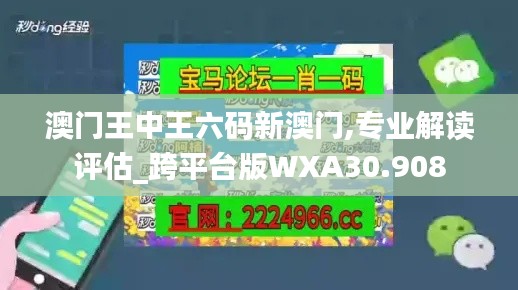 澳门王中王六码新澳门,专业解读评估_跨平台版WXA30.908