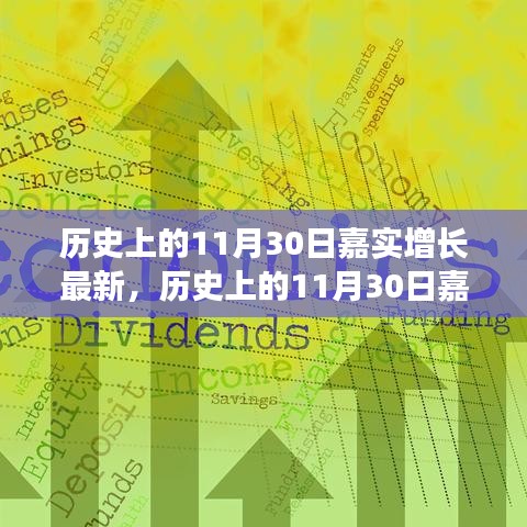 深度解析，嘉实增长在历史上的11月30日最新动态与观点阐述