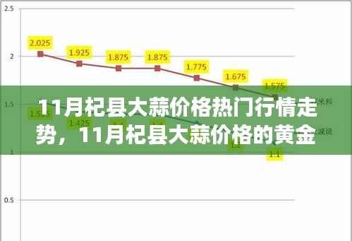 11月杞县大蒜市场行情解析，黄金走势、成长与自信之路