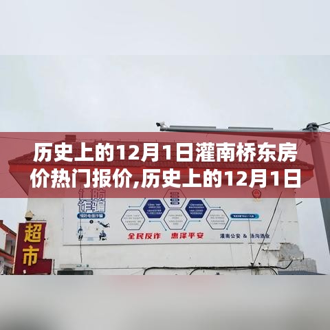 历史上的12月1日灌南桥东房价热门报价，深度分析与观点阐述