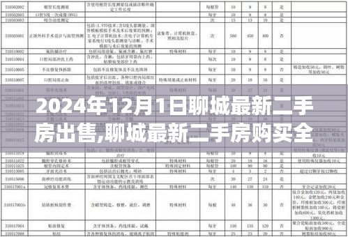 初学者全攻略，聊城最新二手房购买指南，从入门到成交的详细步骤（2024年）