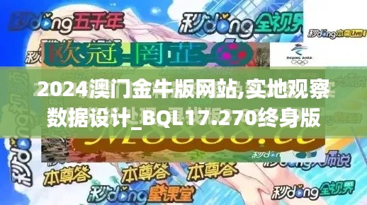 2024澳门金牛版网站,实地观察数据设计_BQL17.270终身版