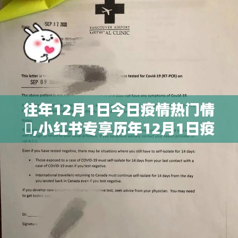 小红书专享历年疫情热点深度解析，历年12月1日疫情热门情况回顾与解析